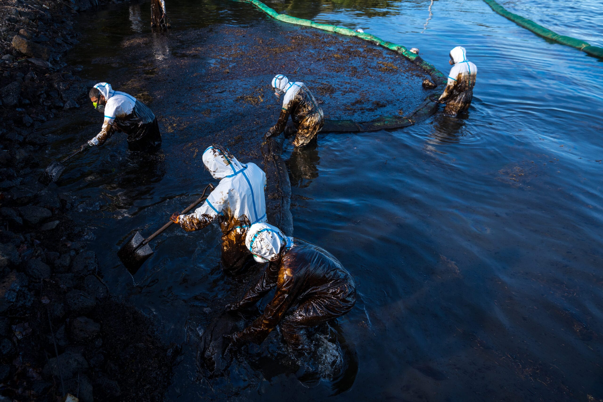 Volunteers clean the ocean coast from oil after a tanker wreck